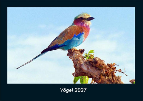 Vögel 2027 Fotokalender DIN A4