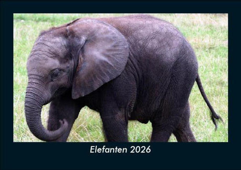 Elefanten 2026 Fotokalender DIN A5