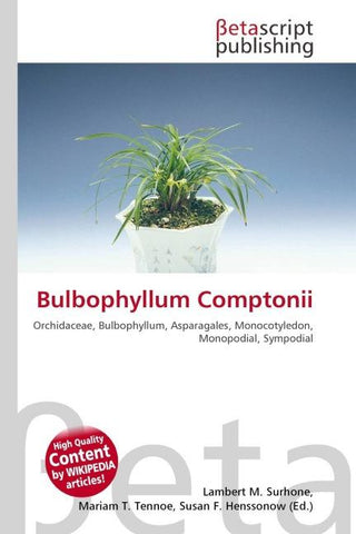 Bulbophyllum Comptonii