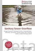 Sanitary Sewer Overflow