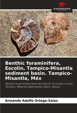 Benthic foraminifera, Escolin, Tampico-Misantla sediment basin. Tampico-Misantla, Méx