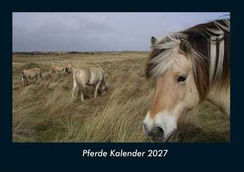 Pferde Kalender 2027 Fotokalender DIN A4