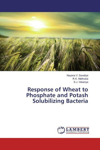 Response of Wheat to Phosphate and Potash Solubilizing Bacteria