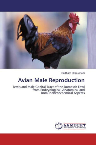 Avian Male Reproduction