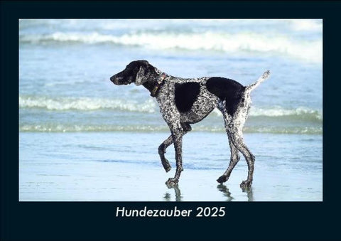 Hundezauber 2025 Fotokalender DIN A5