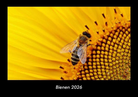 Bienen 2026 Fotokalender DIN A3