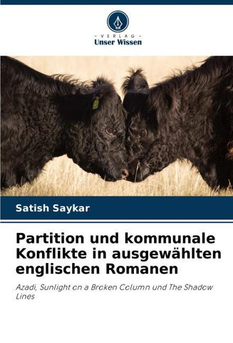 Partition und kommunale Konflikte in ausgewählten englischen Romanen