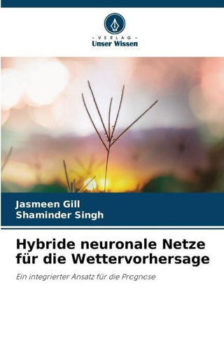Hybride neuronale Netze für die Wettervorhersage