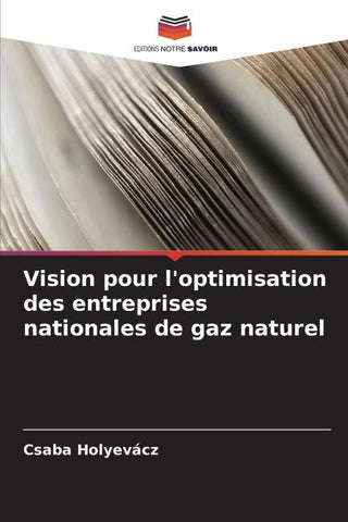 Vision pour l'optimisation des entreprises nationales de gaz naturel
