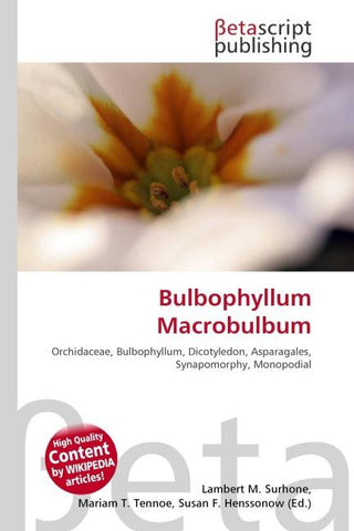 Bulbophyllum Macrobulbum