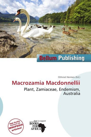Macrozamia Macdonnellii