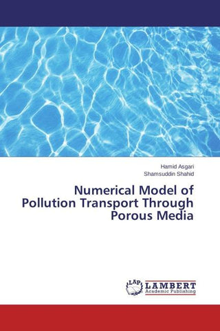 Numerical Model of Pollution Transport Through Porous Media