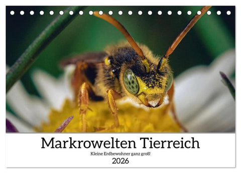 Makrowelten Tierreich (Tischkalender 2026 DIN A5 quer), CALVENDO Monatskalender