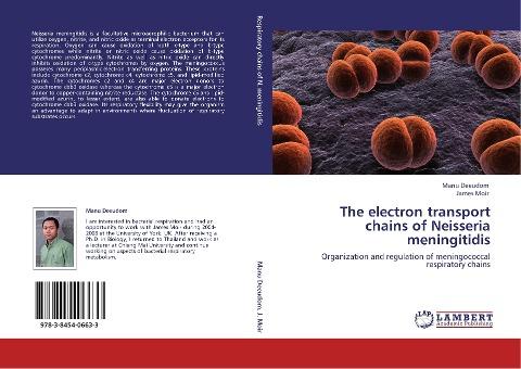 The electron transport chains of Neisseria meningitidis