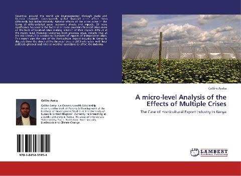 A micro-level Analysis of the Effects of Multiple Crises