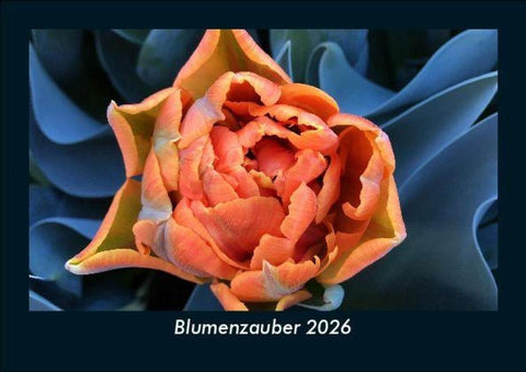 Blumenzauber 2026 Fotokalender DIN A5