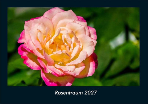 Rosentraum 2027 Fotokalender DIN A4