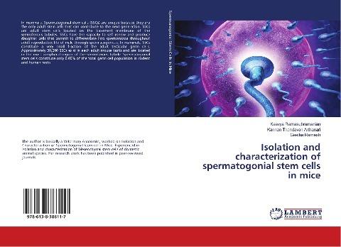 Isolation and characterization of spermatogonial stem cells in mice