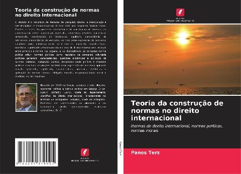 Teoria da construção de normas no direito internacional
