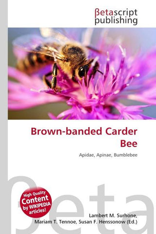 Brown-banded Carder Bee