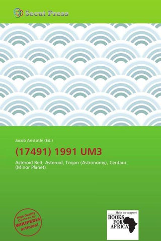 (17491) 1991 UM3