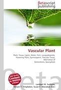 Vascular Plant