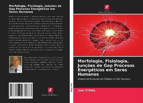 Morfologia, Fisiologia, Junções de Gap Procesos Energéticos em Seres Humanos