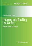 Imaging and Tracking Stem Cells