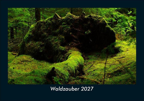 Waldzauber 2027 Fotokalender DIN A5