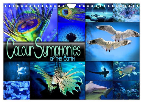 Colour Symphonies of the Earth (Wall Calendar 2026 DIN A4 landscape), CALVENDO 12 Month Wall Calendar