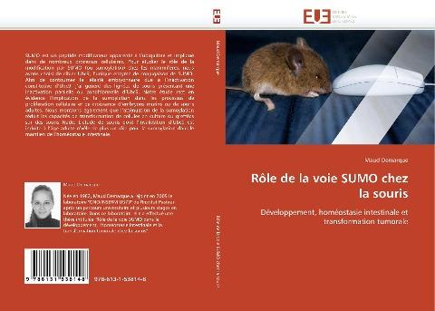 Rôle de la voie SUMO chez la souris