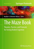 The Maze Book
