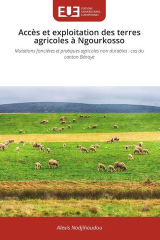 Accès et exploitation des terres agricoles à Ngourkosso