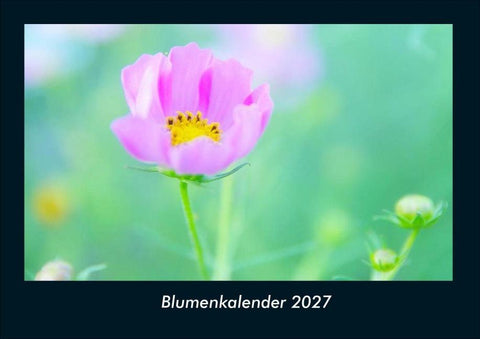 Blumenkalender 2027 Fotokalender DIN A4