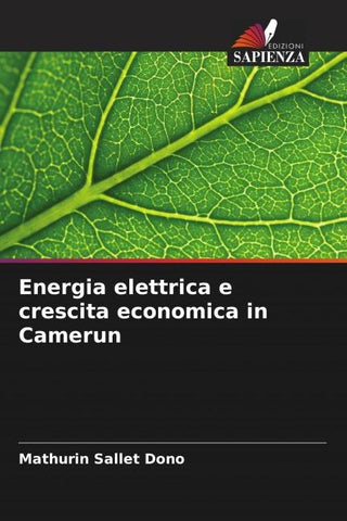 Energia elettrica e crescita economica in Camerun