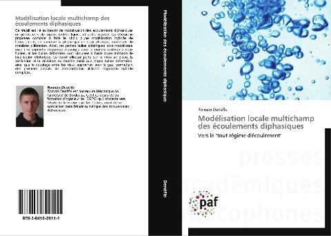 Modélisation locale multichamp des écoulements diphasiques