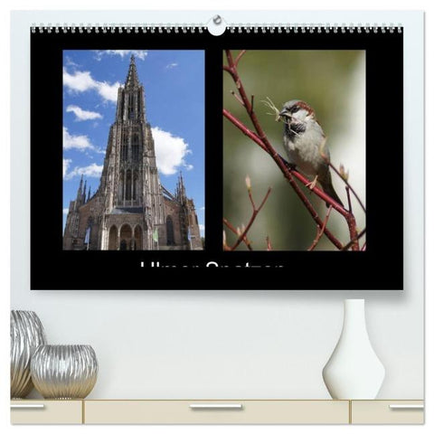 Ulmer Spatzen (hochwertiger Premium Wandkalender 2026 DIN A2 quer), Kunstdruck in Hochglanz