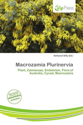 Macrozamia Plurinervia