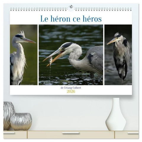 Le héron ce héros de l'étang Colbert  (Calendrier mural 2026 DIN A2 vertical) calendrier de bureau