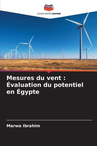 Mesures du vent : Évaluation du potentiel en Égypte