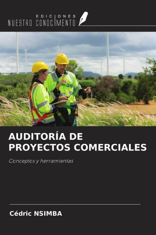AUDITORÍA DE PROYECTOS COMERCIALES