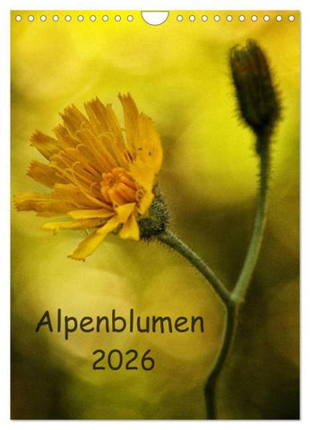 Alpenblumen 2026 (Wandkalender 2026 DIN A4 hoch), CALVENDO Monatskalender