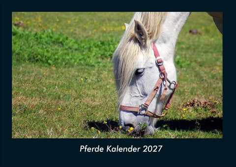 Pferde Kalender 2027 Fotokalender DIN A4