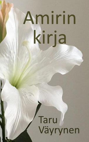 Amirin kirja