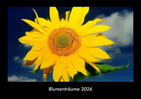 Blumenträume 2026 Fotokalender DIN A3