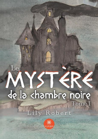 Le mystère de la chambre noire