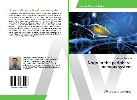 Nogo in the peripheral nervous system