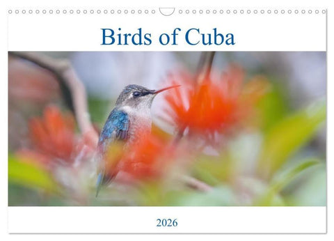 Birds of Cuba Island (Wall Calendar 2026 DIN A3 landscape), CALVENDO 12 Month Wall Calendar