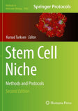 Stem Cell Niche