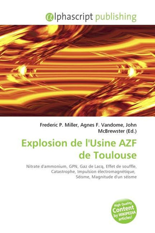 Explosion de l'Usine AZF de Toulouse